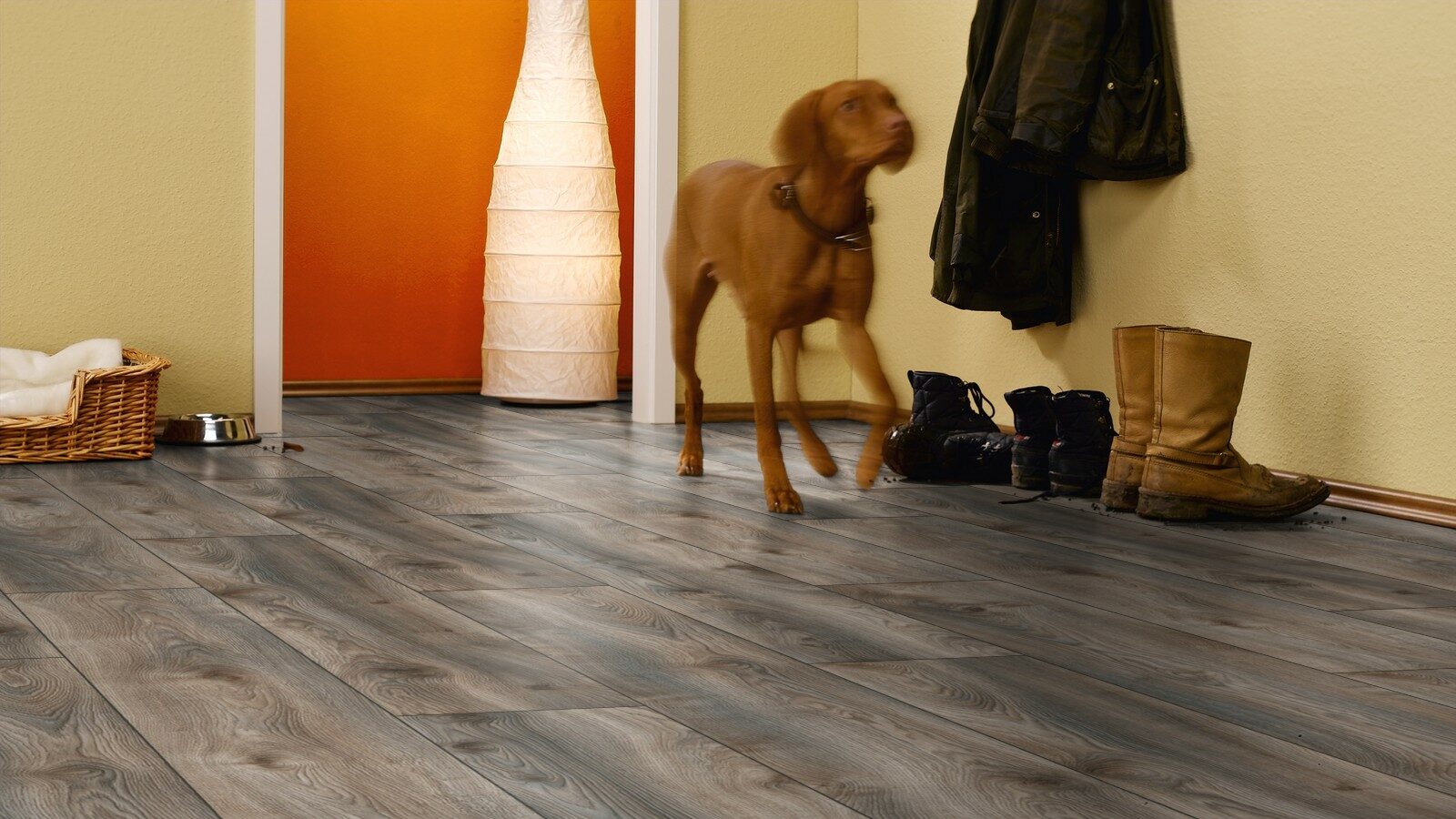 kronotex_mammut_plus_d4792_dub_seryy_makro_4.jpg
